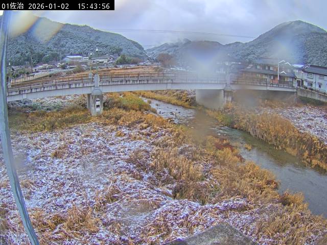 最新監視カメラ画像