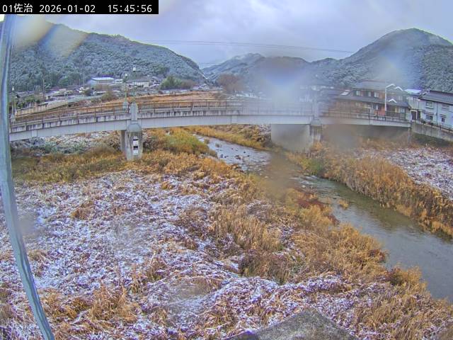 最新監視カメラ画像