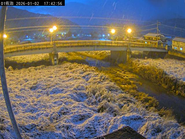 最新監視カメラ画像