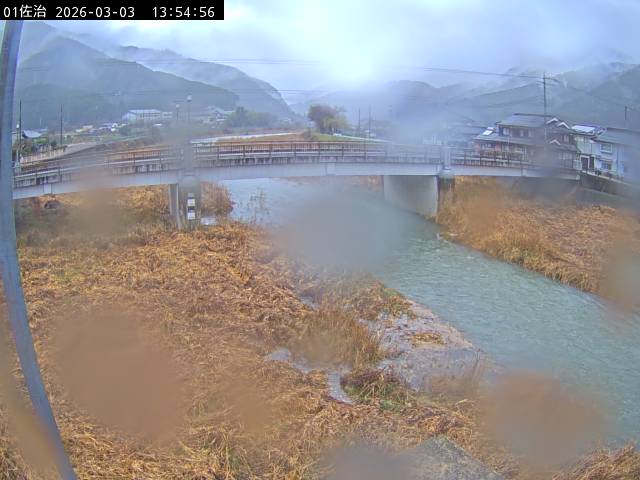 最新監視カメラ画像