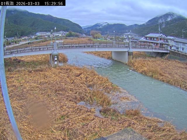 最新監視カメラ画像