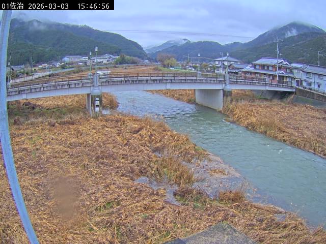 最新監視カメラ画像