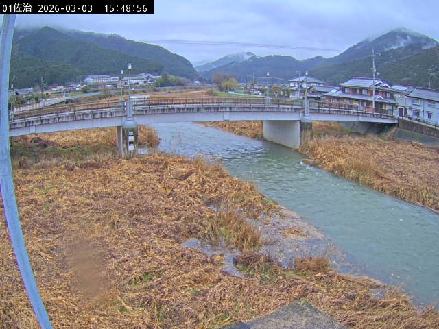 最新監視カメラ画像