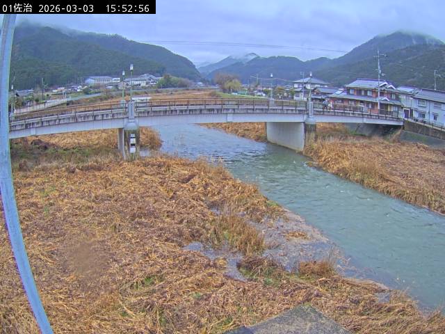 最新監視カメラ画像