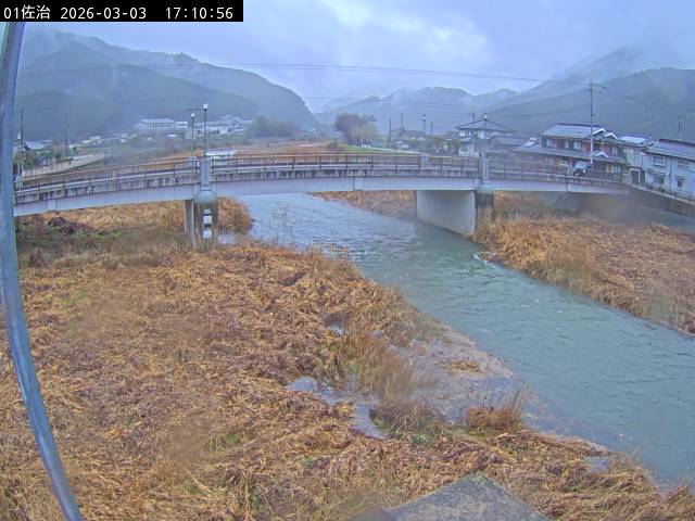 最新監視カメラ画像