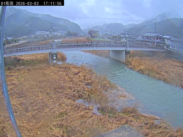 最新監視カメラ画像