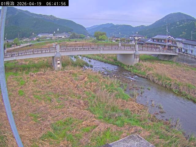 最新監視カメラ画像