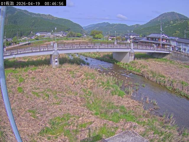 最新監視カメラ画像