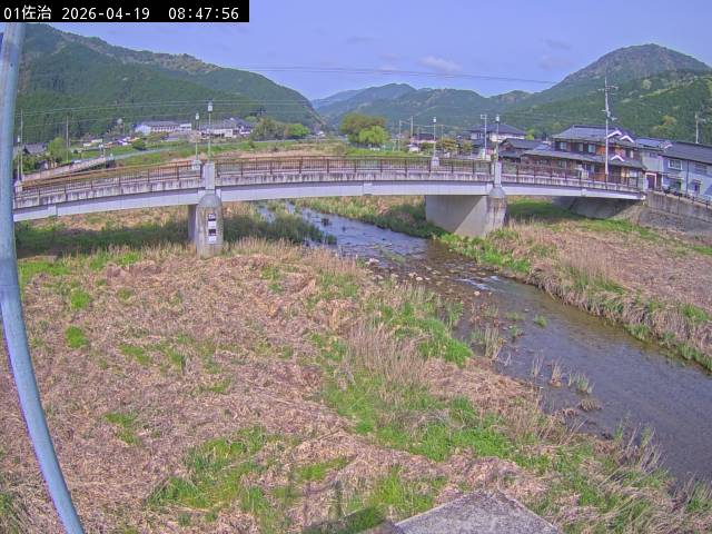 最新監視カメラ画像