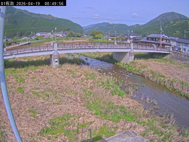 最新監視カメラ画像