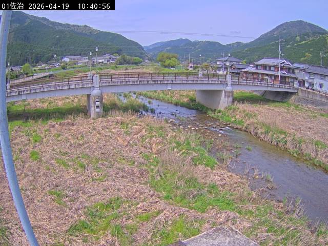 最新監視カメラ画像