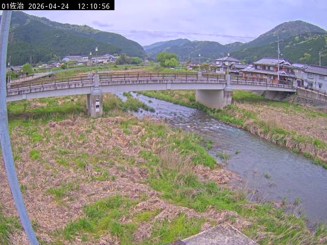 最新監視カメラ画像