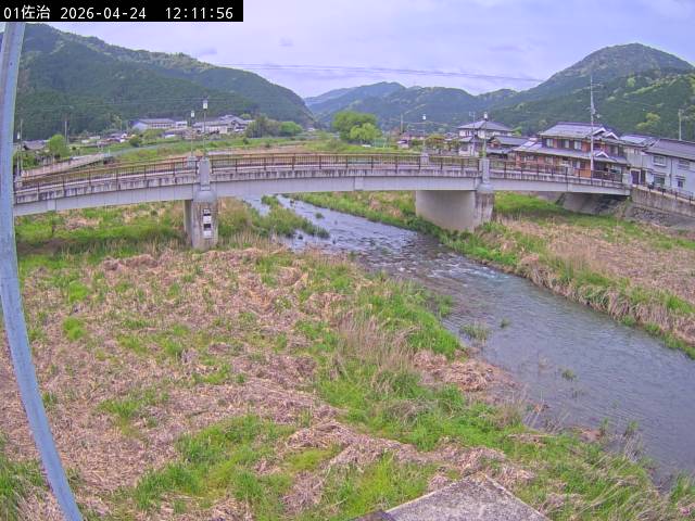 最新監視カメラ画像