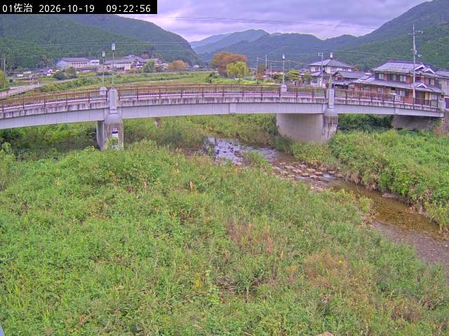最新監視カメラ画像