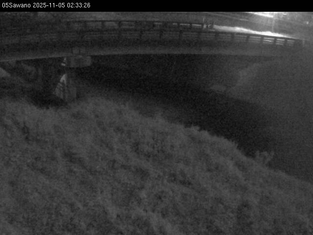 最新監視カメラ画像