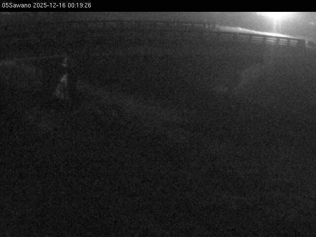 最新監視カメラ画像