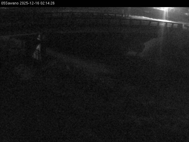 最新監視カメラ画像