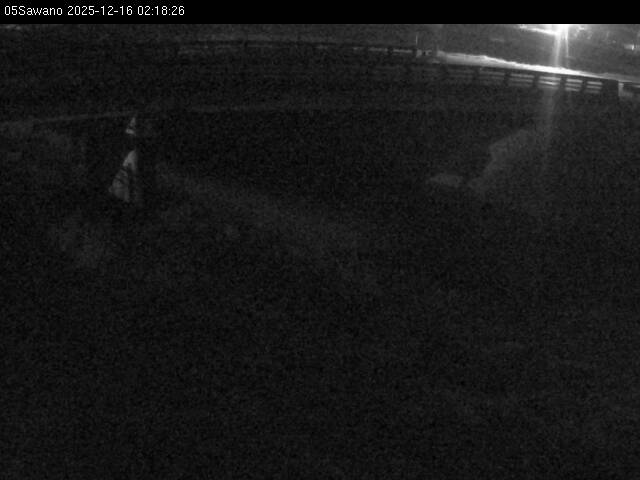 最新監視カメラ画像