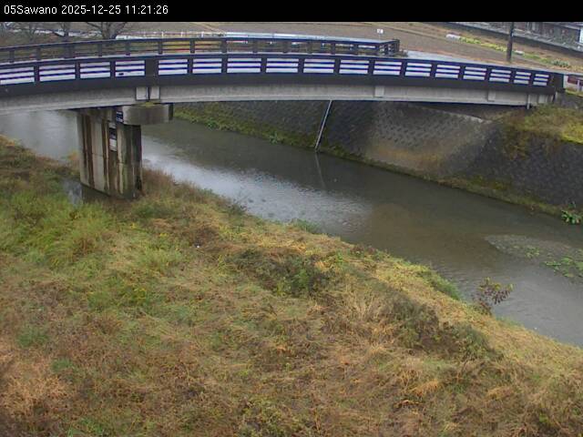 最新監視カメラ画像