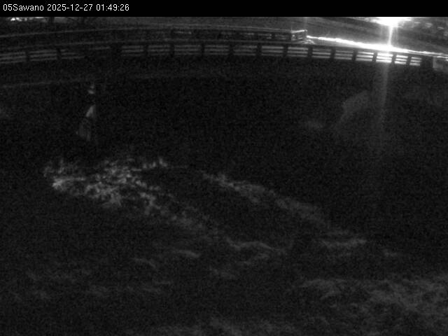 最新監視カメラ画像