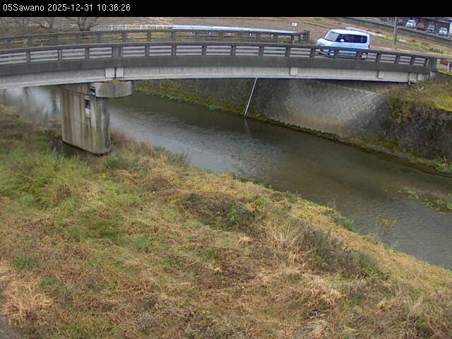 最新監視カメラ画像