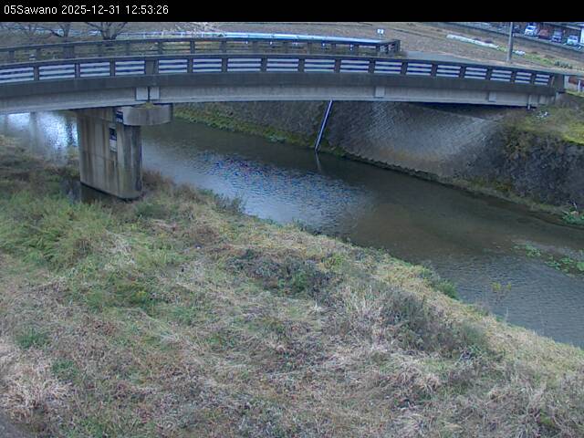 最新監視カメラ画像