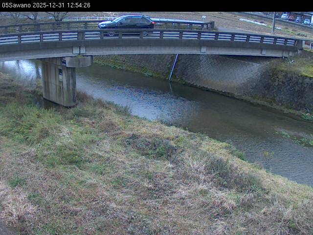 最新監視カメラ画像