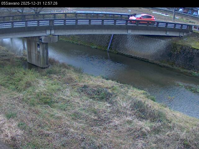 最新監視カメラ画像