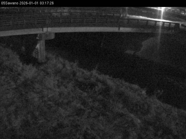 最新監視カメラ画像