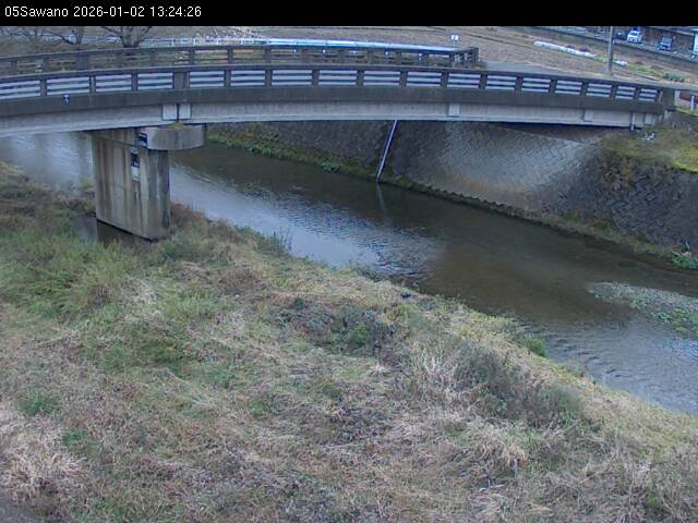 最新監視カメラ画像