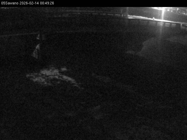 最新監視カメラ画像