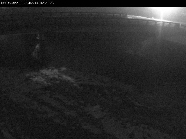 最新監視カメラ画像