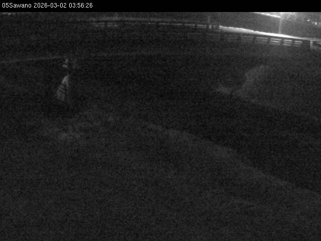 最新監視カメラ画像