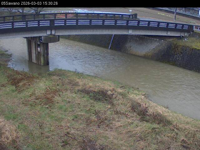 最新監視カメラ画像