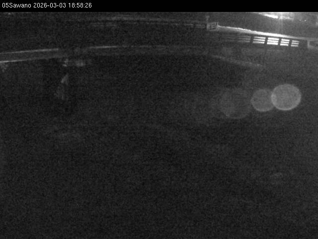 最新監視カメラ画像