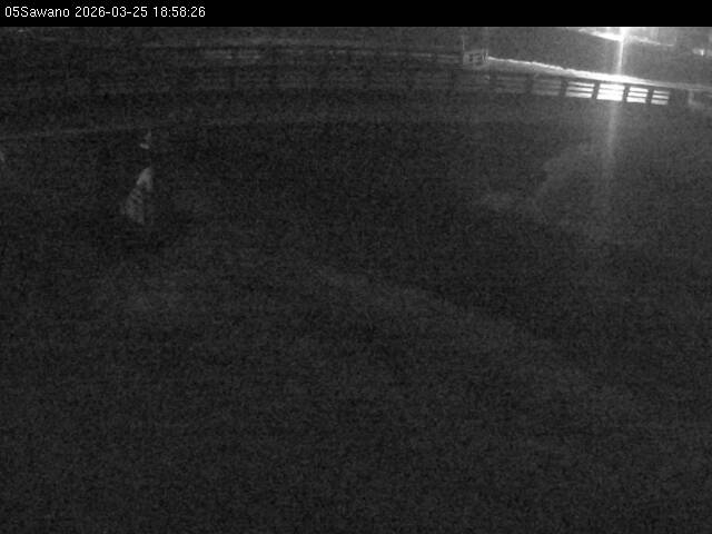 最新監視カメラ画像