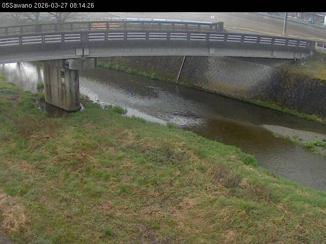 最新監視カメラ画像