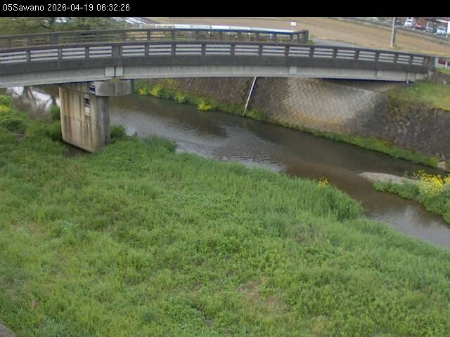 最新監視カメラ画像