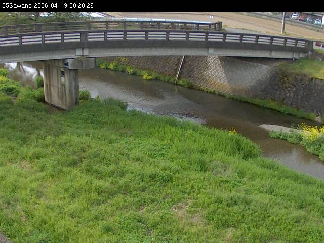 最新監視カメラ画像