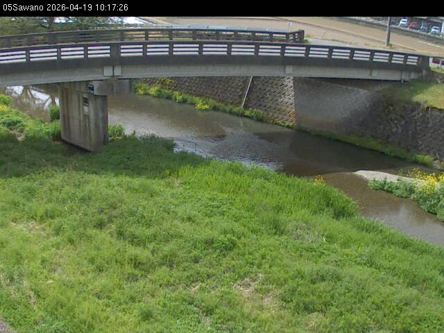 最新監視カメラ画像