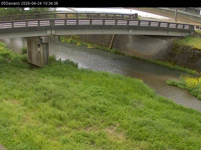 最新監視カメラ画像