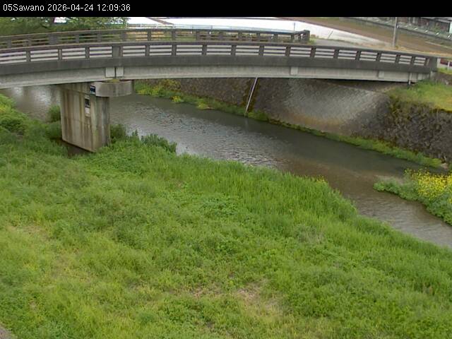 最新監視カメラ画像