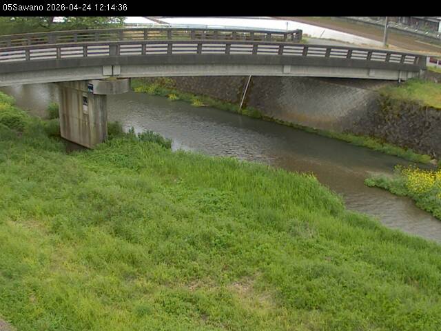 最新監視カメラ画像