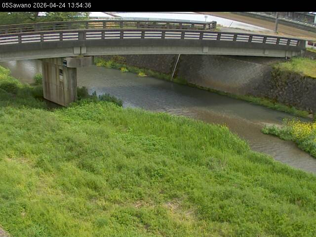 最新監視カメラ画像