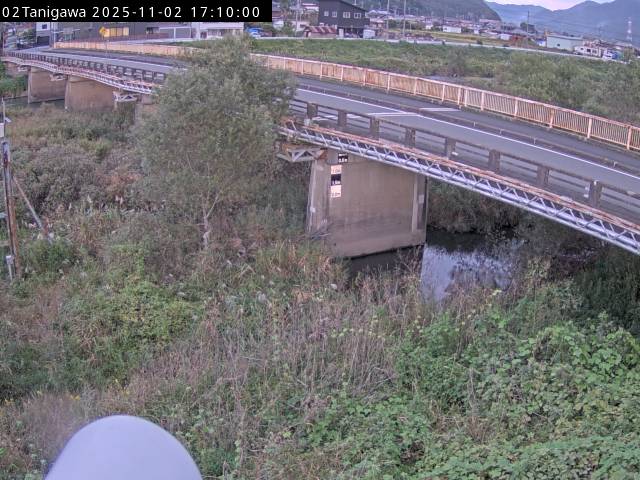 最新監視カメラ画像