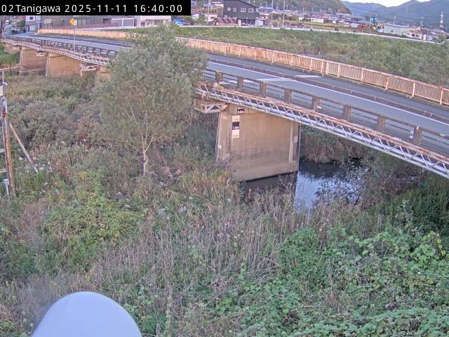 最新監視カメラ画像