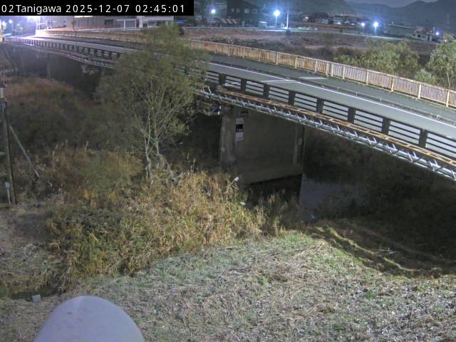 最新監視カメラ画像