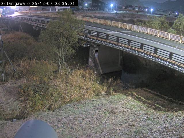 最新監視カメラ画像