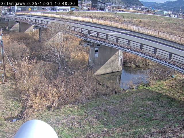 最新監視カメラ画像