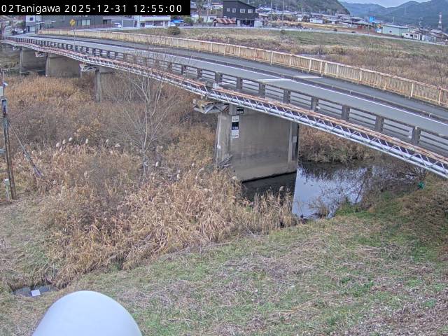 最新監視カメラ画像